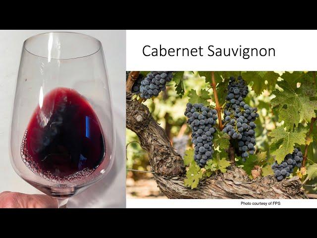 Grape Variety #3: Cabernet Sauvignon