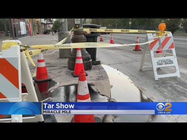 Tar Continues To Ooze Up On Streets Near La Brea Tar Pits