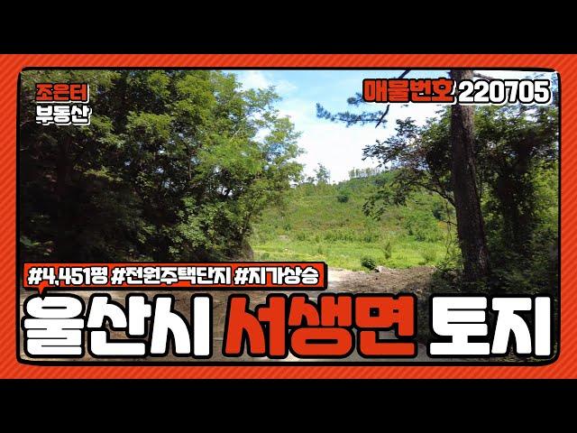 토지 0705 ) 울산시 울주군 서생면 토지 매매 / 4451평 / 전원주택단지 조성 / 재테크 및 투자 목적으로 강력하게 추천 드릴 매물입니다!