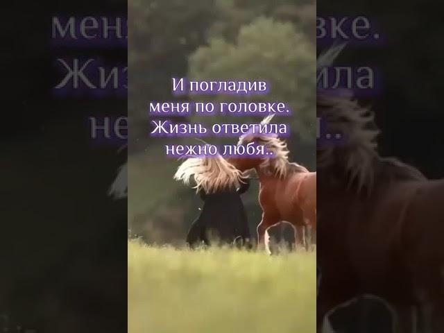 добрый день