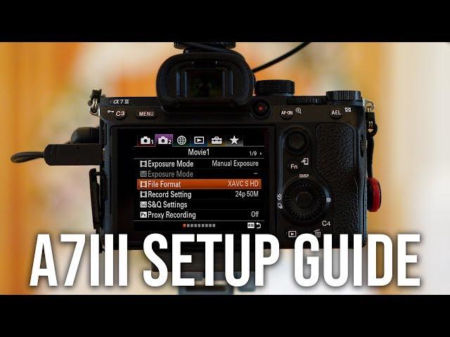 Sony a7III - How I Setup for Photos & Videos | SETUP GUIDE AND MENU SETTINGS