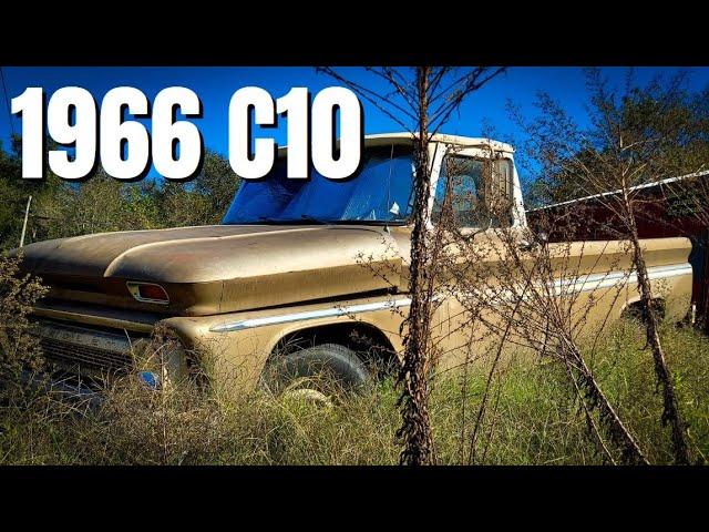 1966 C10 - From the Weeds to the Highway!!!