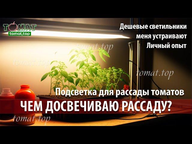 Подсветка для рассады томатов. Чем досвечиваю рассаду? Меня устраивают дешевые светильники