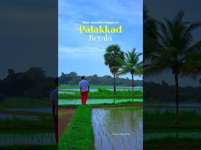 Most Beautiful Villages in Kerala #palakkad #kollengode #villagelife #gramam