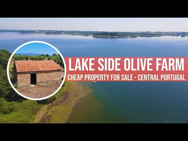 LAKE SIDE OLIVE FARM FOR SALE 5HA  - CHEAP TOURISM RENTAL PROPERTY INVESTMENT CENTRAL PORTUGAL