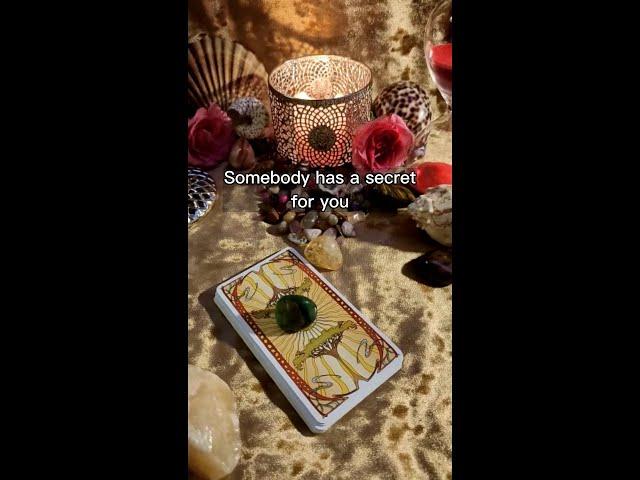   Somebody has a secret for you    Love tarot card reading