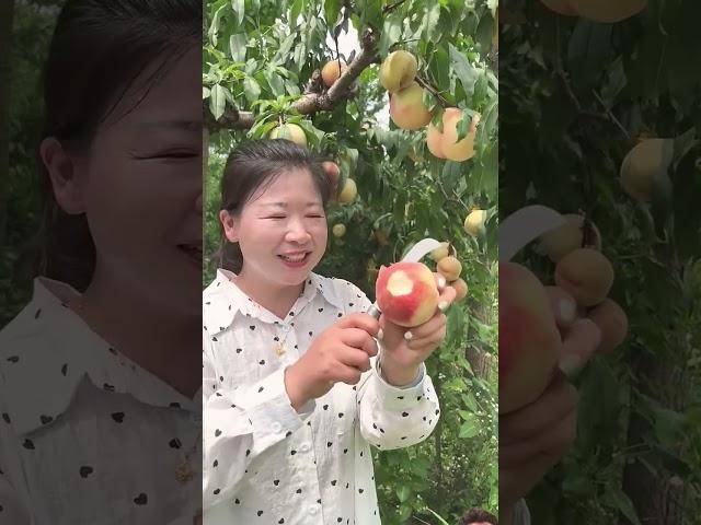 peach forest