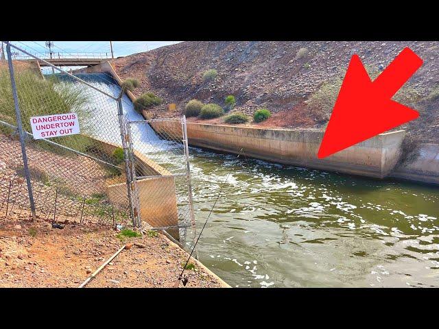 Raging Canal Spillway Fishing for Big Fish! (Arizona Canal Fishing)