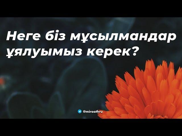 Неге біз мұсылмандар ұялуымыз керек? |  Октам абу Абдуррахман حفظه الله