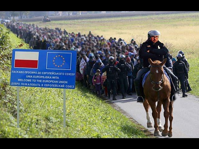 Украинцы в Польше
