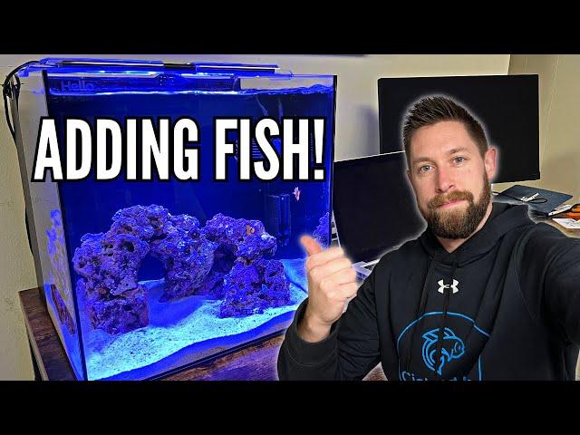 Adding Fish to the Nano Reef Aquarium! (HelloReef Aquarium Kit Update)