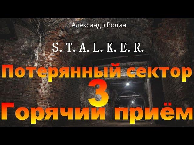 3 Горячий приём Потерянный сектор STALKER аудиокнига Александра Родина