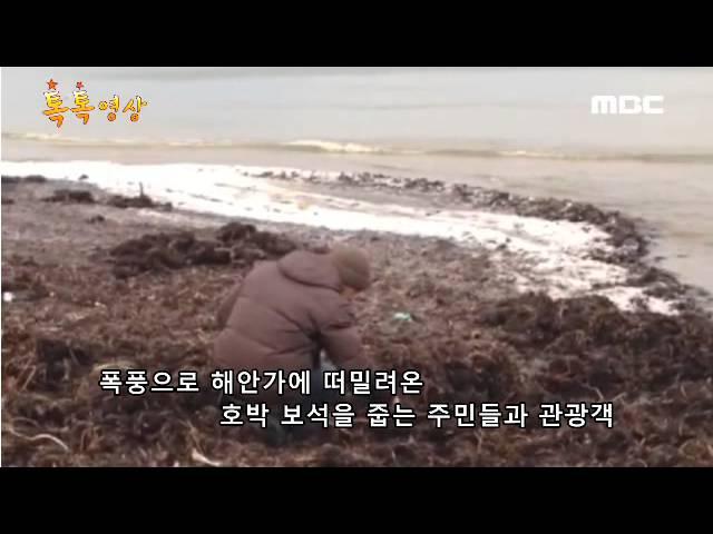 먼저 줍는 사람이 임자?…러시아 해안에 나타난 보석