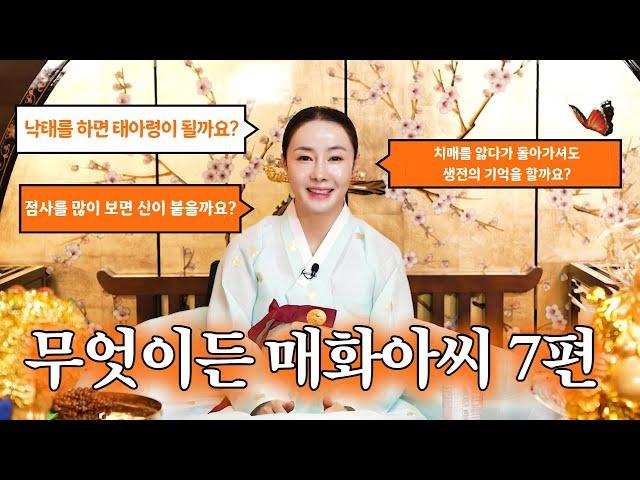 (매화아씨) 유산하면 태아령이될까? 점집을 많이 가면 귀신이 붙을까? (무엇이든 매화아씨 EP.7) l 용한점집 유명한점집 미우새점집 일산점집