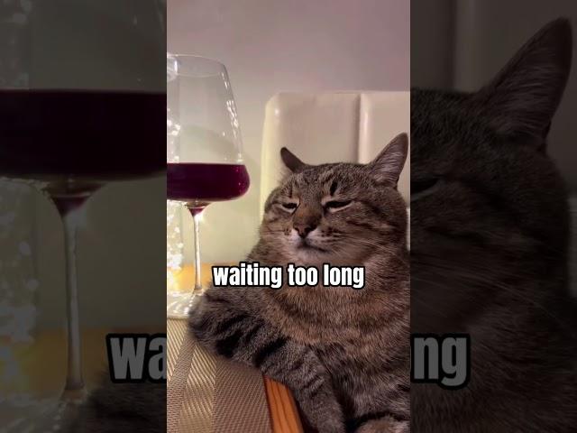 Mistakes Every Cat Owner Should Know