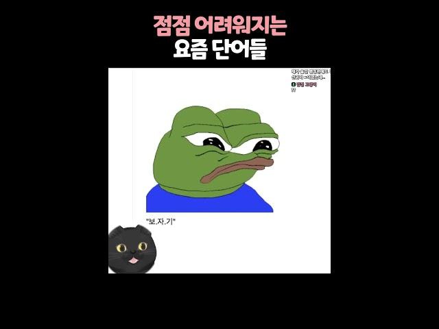 요즘말 너무 어렵다냥 