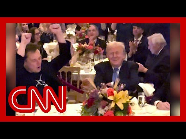 Elon Musk and Trump dance to 'Y-M-C-A' at Thanksgiving dinner