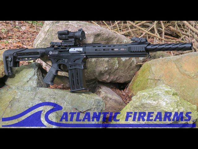 PANZER ARMS AR12 PRO at Atlantic Firearms