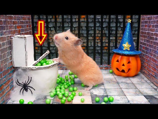 Hamster Escapes Halloween Maze