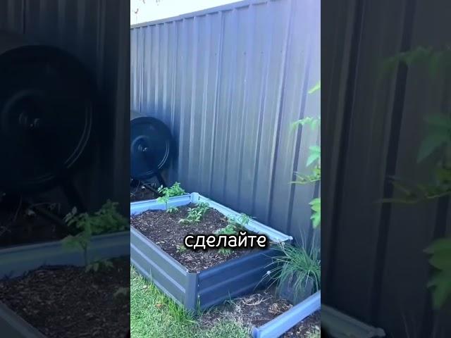 Как аккуратно и компактно разместить грядки на участке #дача #сад #огород #рассада #грядки