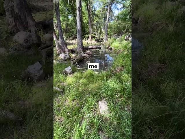 Come with me on a Honey Creek Guided Walk #hikingadventures #visittexas #texasstateparks