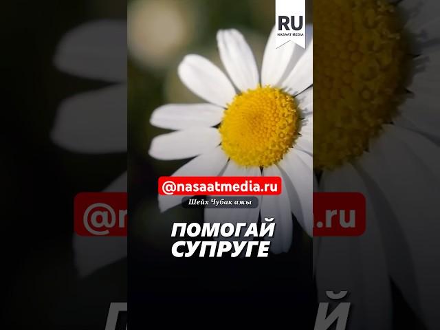 Помогай супруге. #насаатмедиа #rec #rek #film #шейх_чубак_ажы #live #чубакажы #ислам #насаат