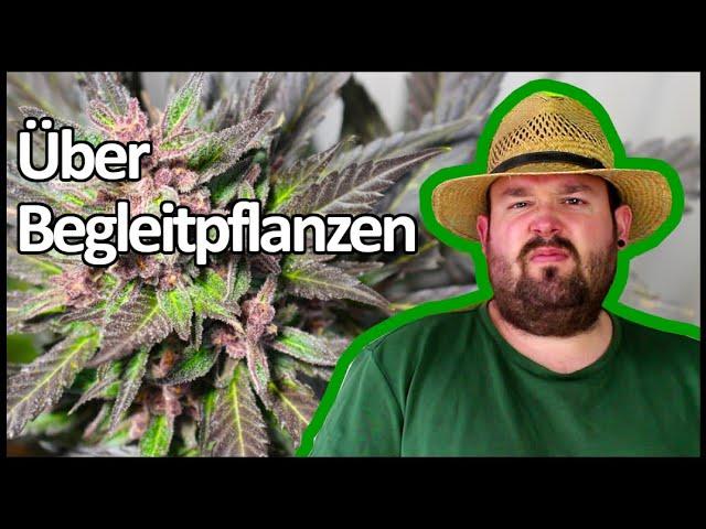 Woche 10 meines Bubatz-Versuchs mit Biobizz Lightmix | Bubatz mit Flol