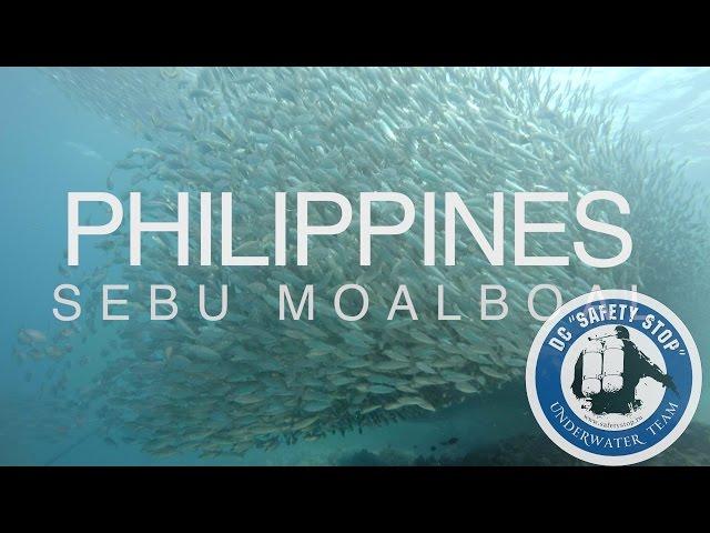 Филиппины, Себу - Дайвинг | Scuba Diving Philippines, Sebu, Moalboal