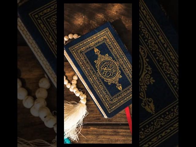 The Scientific Accuracy of the Holy Quran #quran #science #shorts