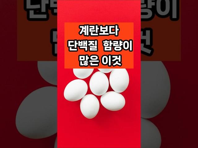 계란보다 단백질 함량이 높은 의외의 식품 4가지 #면역 #음식 #건강 #50대 #계란