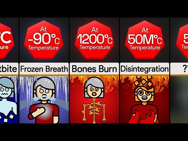 Comparison: You At Different Temperatures