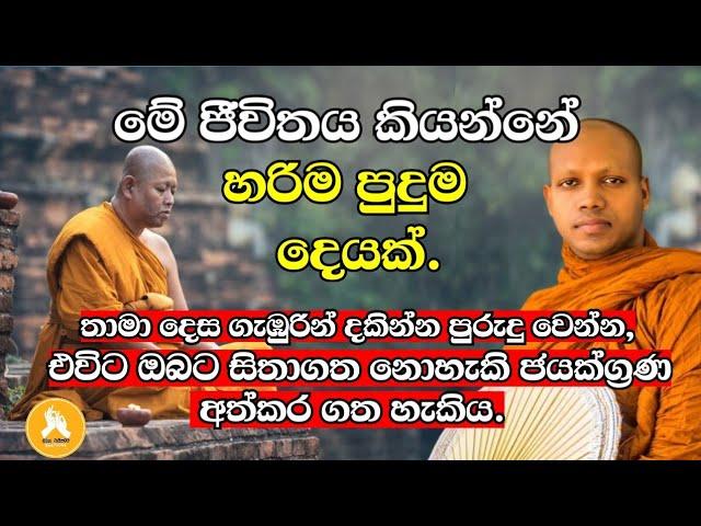 තාමා දෙස ගැඹුරින් දකින්න පුරුදු වෙන්න,ඔබට සිතාගත නොහැකි ජයක්ග්‍රණ හිමි වේ|Hasalaka Seelawimala thero