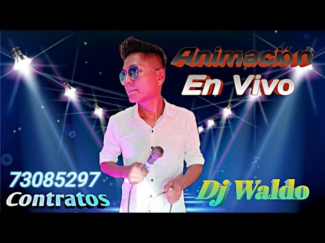 Cumbia Con Animación (Grabación Live De Tiktok) Dj Waldo