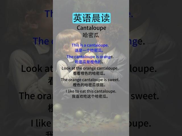 中级英语听力训练：提高你的听力水平    Cantaloupe 哈密瓜