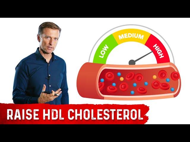 The Most Powerful Agent to Raise HDL