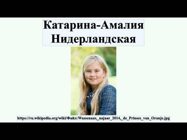 Катарина-Амалия Нидерландская