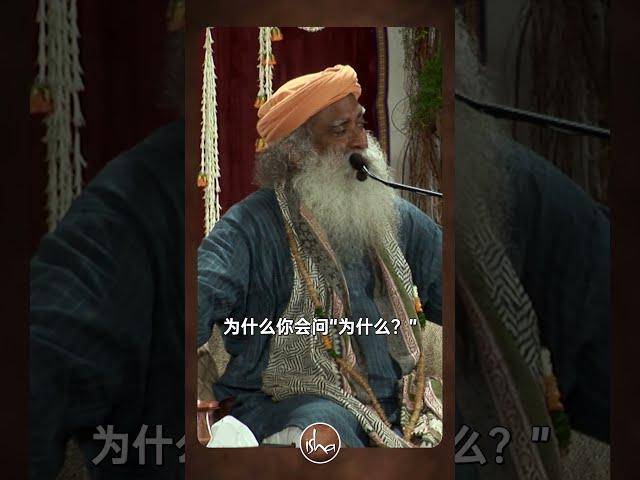 生命的目的是什么？我们为何出生？ #shorts #life #purposeoflife #wisdom #yoga