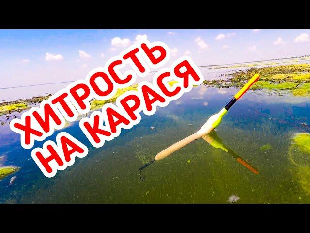 Рыбалка на КАРАСЯ! Бешеный КЛЁВ! Он просто ДУРЕЕТ от Рваного Красного!