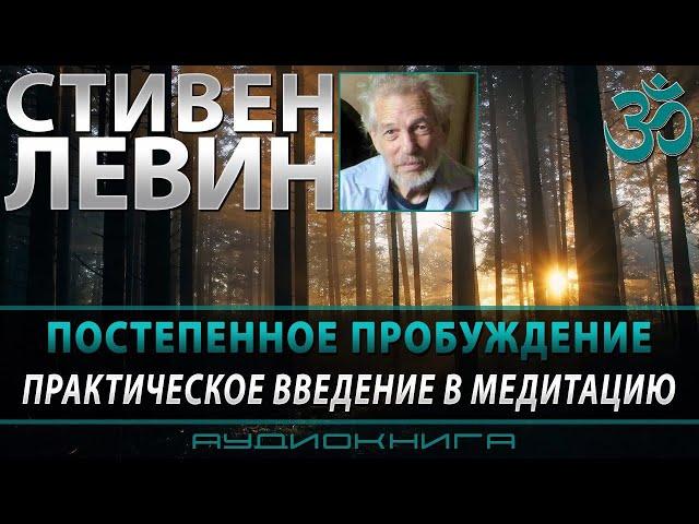 Медитация, постепенное пробуждение. Стивен Левин