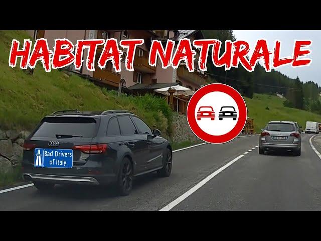 BAD DRIVERS OF ITALY dashcam compilation 2.27 - HABITAT NATURALE