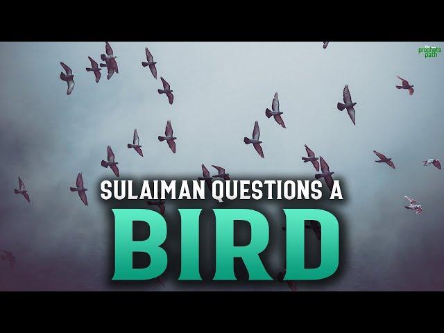 SULAIMAN (AS) QUESTIONS A BIRD ABOUT LOVE