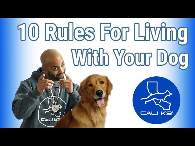 10 Rules For Living With Your Dog