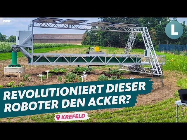 Landwirtschafts-Roboter: Zukunft für regionales Gemüse? | WDR Lokalzeit Land.Schafft.