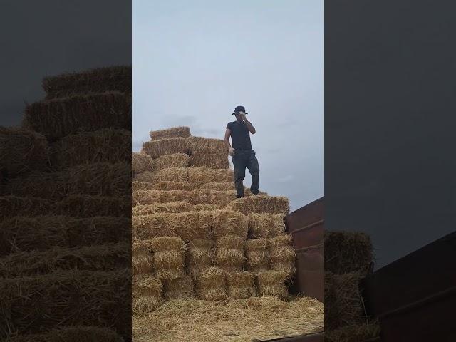 #молодойфермер