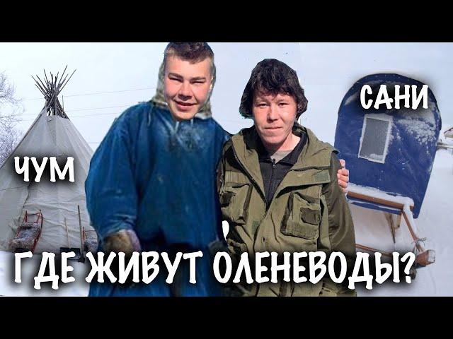 Где Живут ОЛЕНЕВОДЫ в Тундре? — Генрих Немчинов