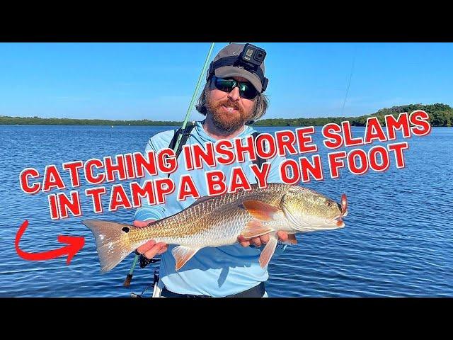 Looking For Inshore Slams In Tampa Bay On Foot [On-The-Water Report]