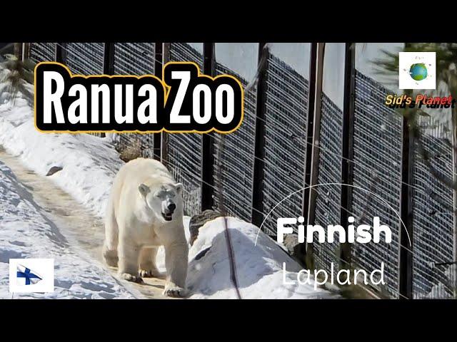 Ranua Zoo || Lapland || Finland