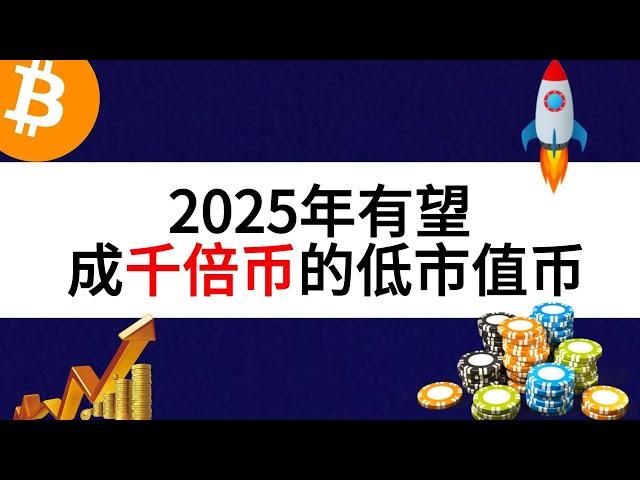 2025年有望成千倍币的低市值币