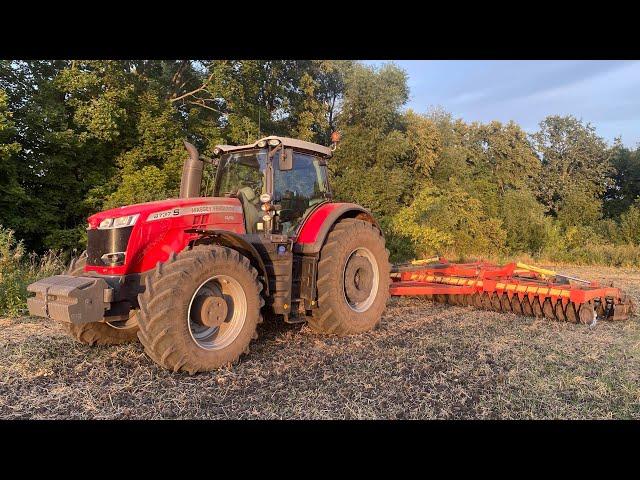 Вся бригада на одном поле | Начало Уборки Ячменя 2022 | Дискование на Massey Ferguson 8737S