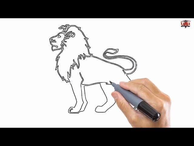 How to Draw a Lion: Drawing by UCIDraw